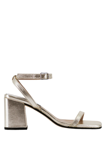 The Elevated Essential | Champagne