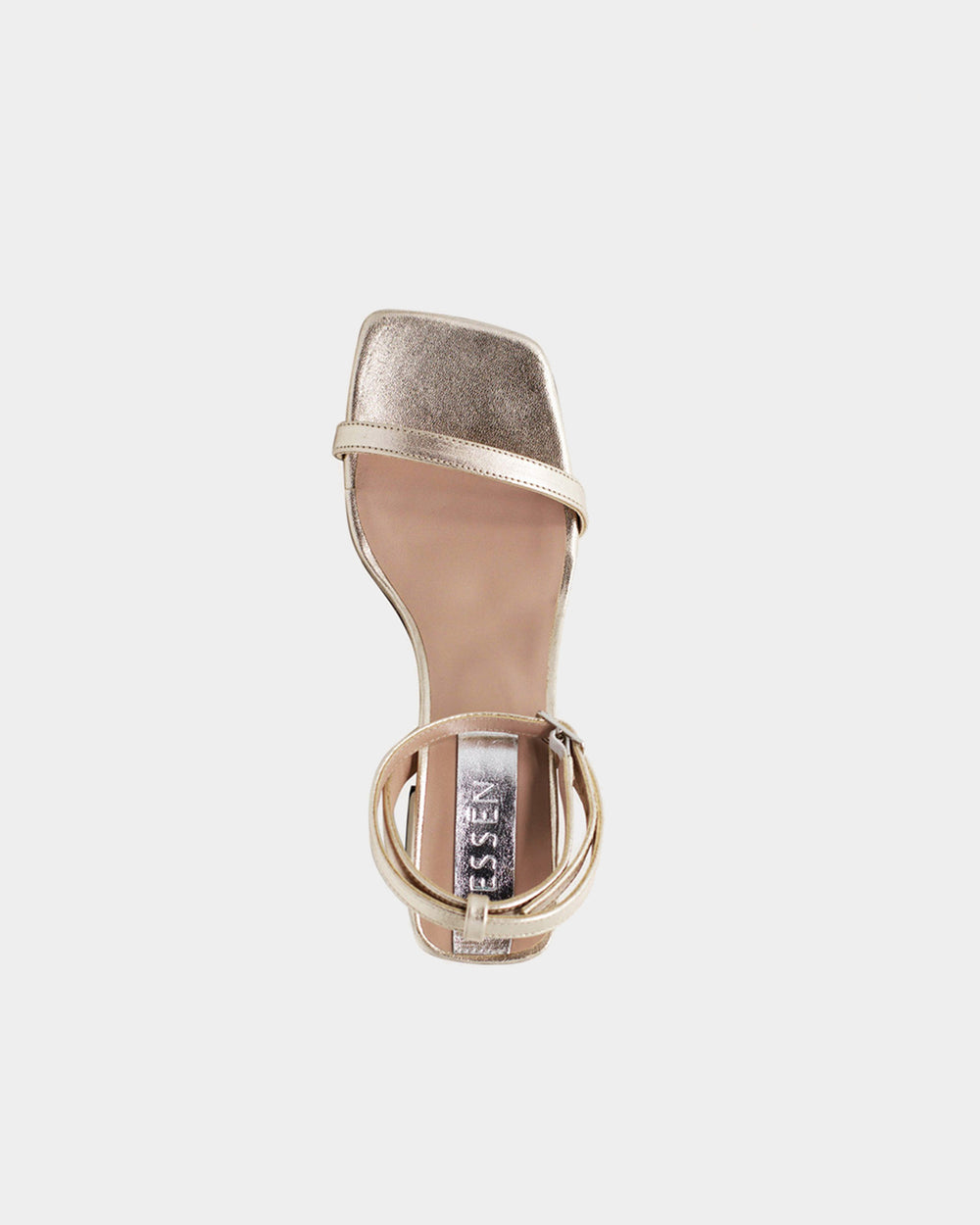 The Elevated Essential | Champagne